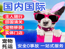 舟山普陀山航空物流国际宠物托运 【国